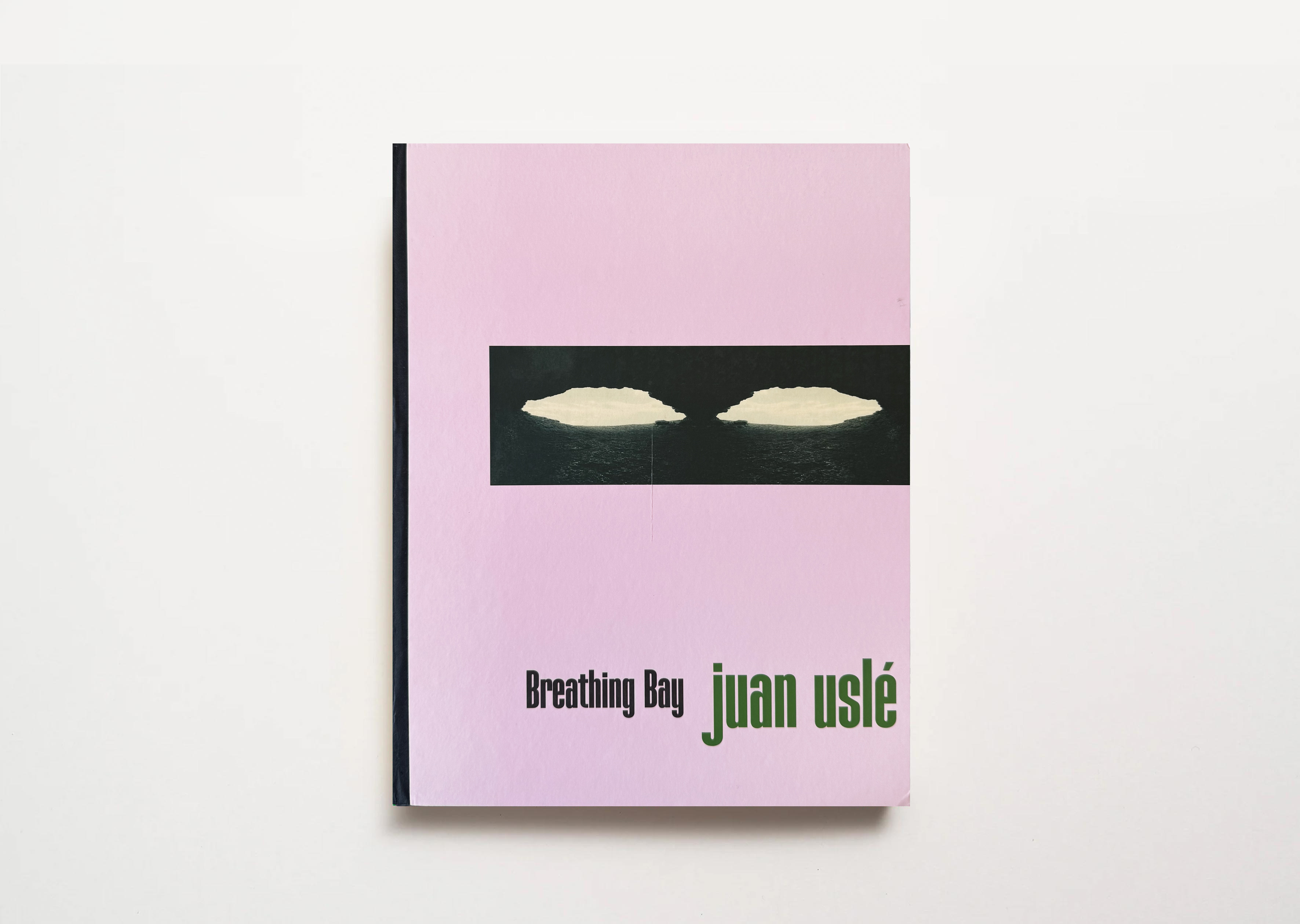 livre Breathing Bay Juan Uslé